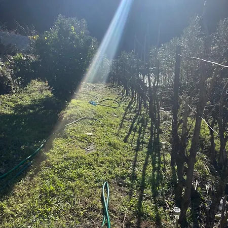 White House Casa vacanze Piódão